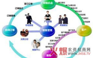 為客戶量身定做解決方案